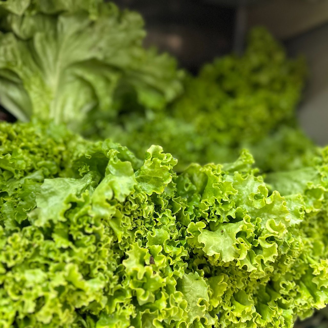 Verduras